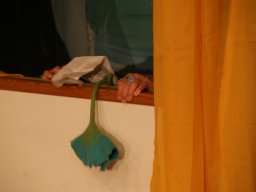2012 - Vier auf einen Streich